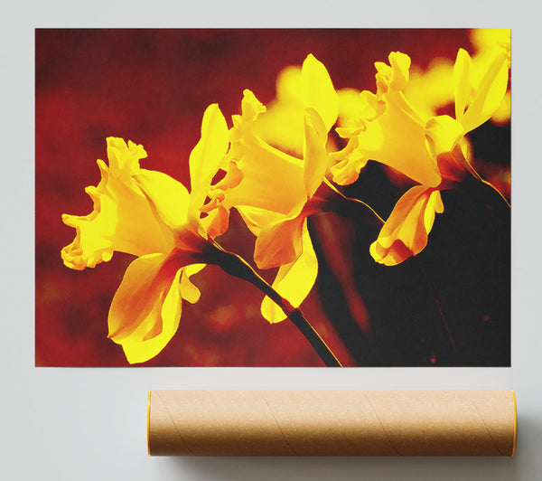 Golden Daffodil Parade Giclee Print