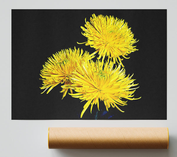 Dandelion Delight Poster