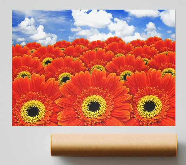 Orange Gerbera Heaven Poster
