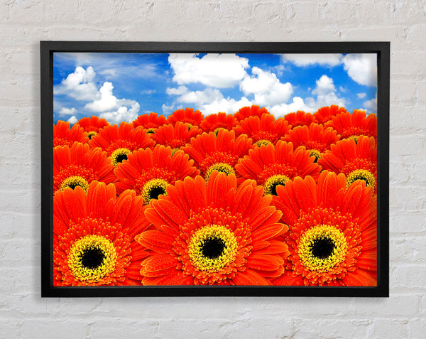 Orange Gerbera Heaven Framed Print