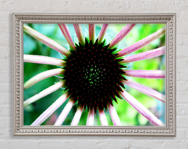 Magical Centre Framed Print