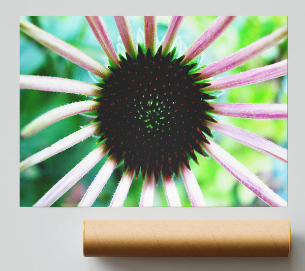Magical Centre Giclee Print