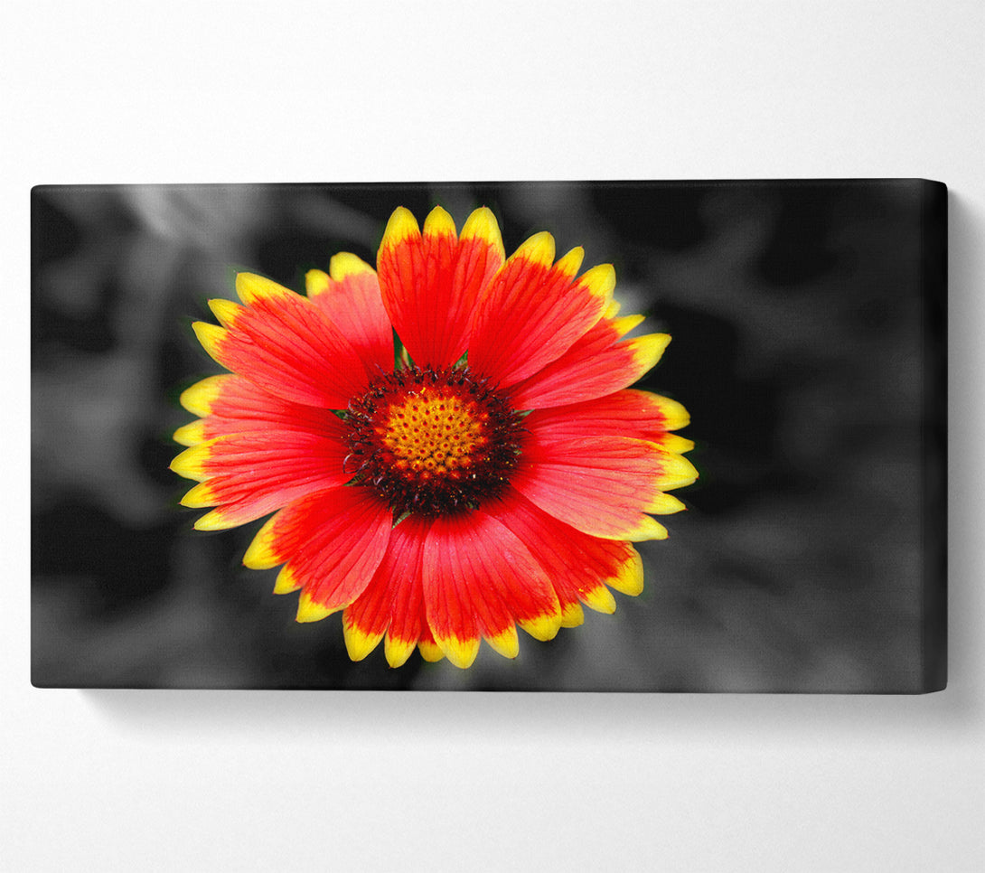  A Canvas Print of Colours Of The Sun Canvas Wall Art
