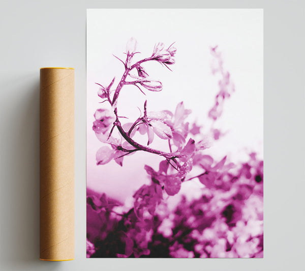 Cherry Blossom Print