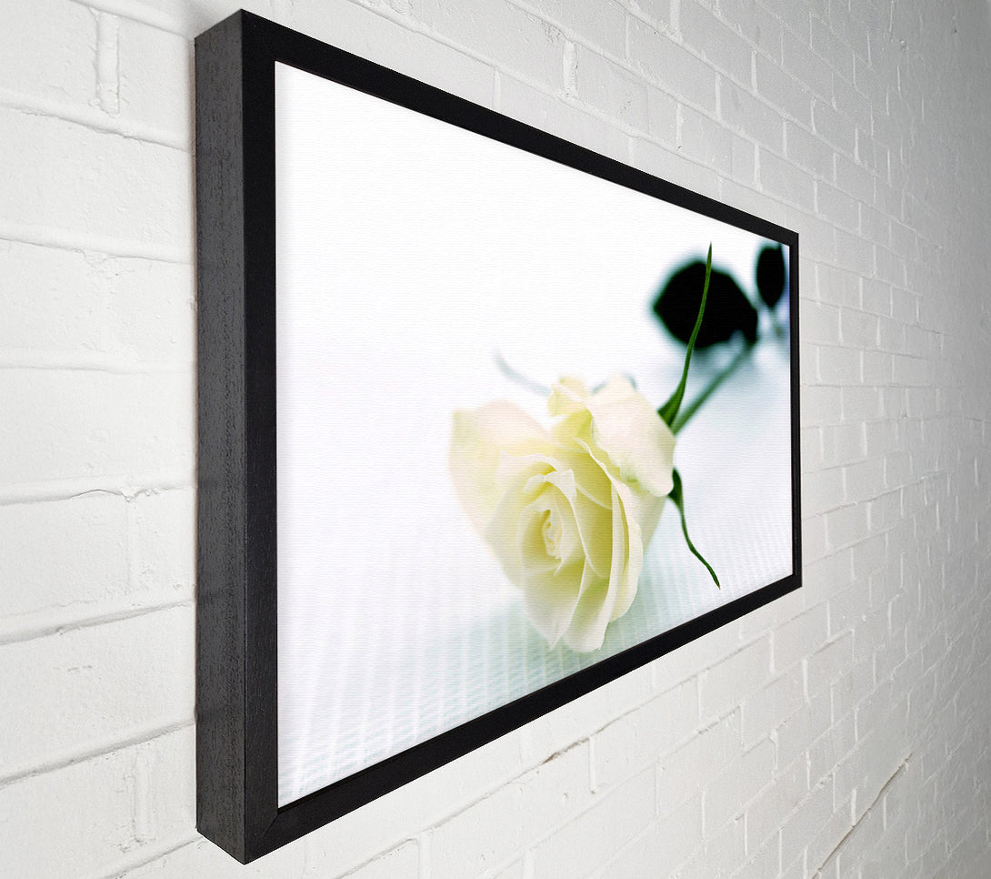  A Canvas Print of Single White Rose Canvas Wall Art