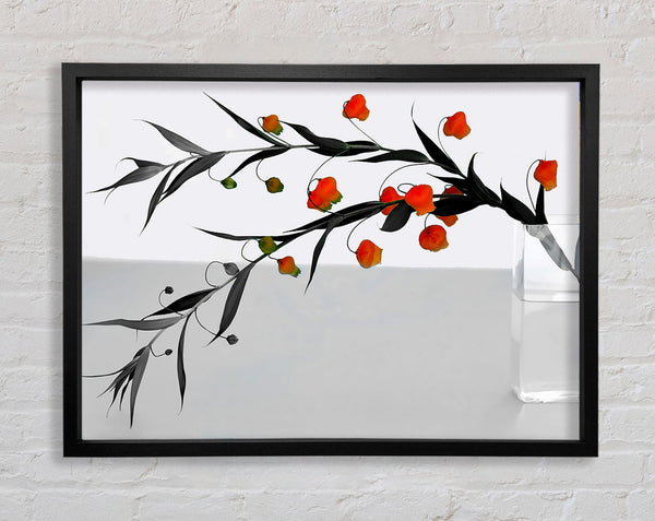 Vase Of Orange Buds B n W Framed Print
