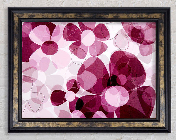 Mauve Pink Daisies Framed Print