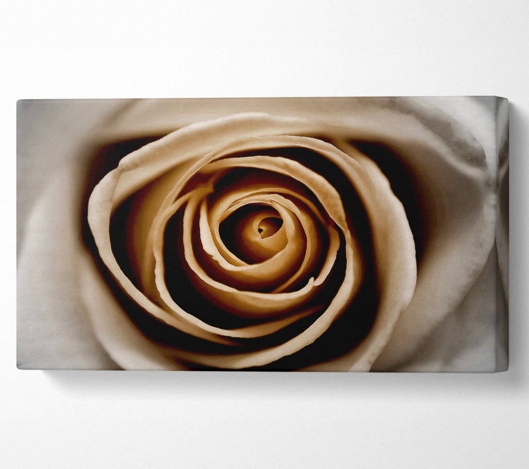  A Canvas Print of Stunning Sepia Rose Close-Up Canvas Art