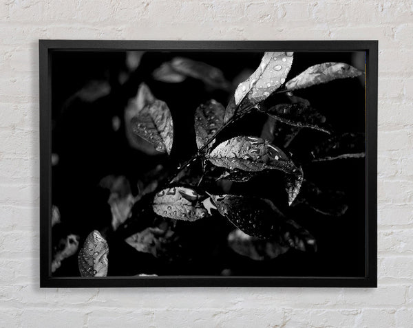 Winter Leaves B n W Framed Print