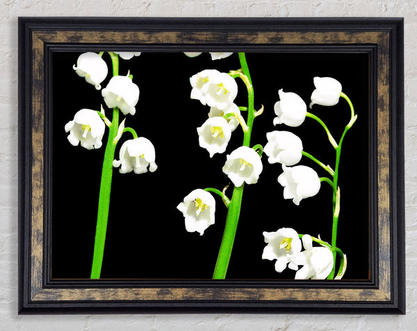Summer Bells Framed Print