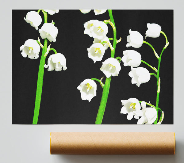 Summer Bells Giclee Print