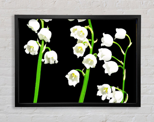 Summer Bells Framed Print