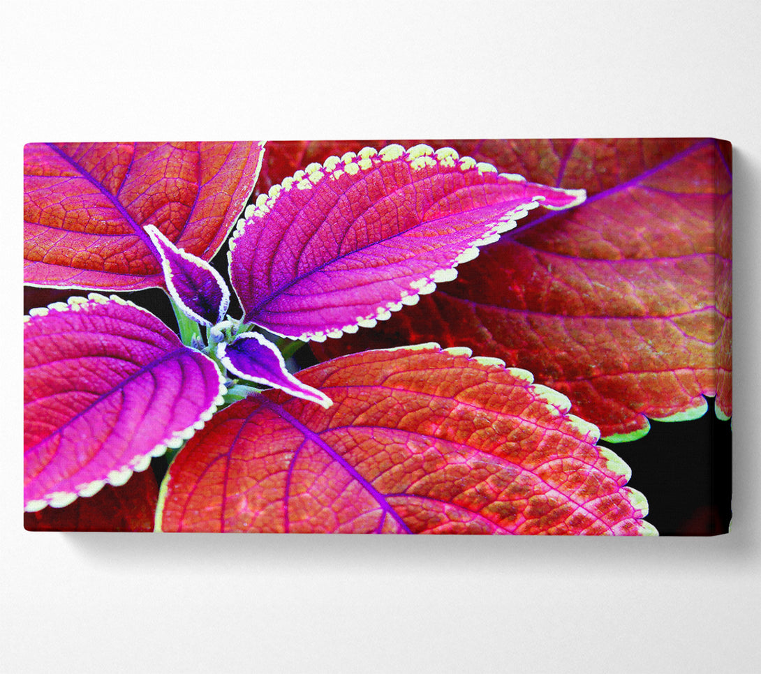  A Canvas Print of Rich Autumn Leaves Canvas Art
