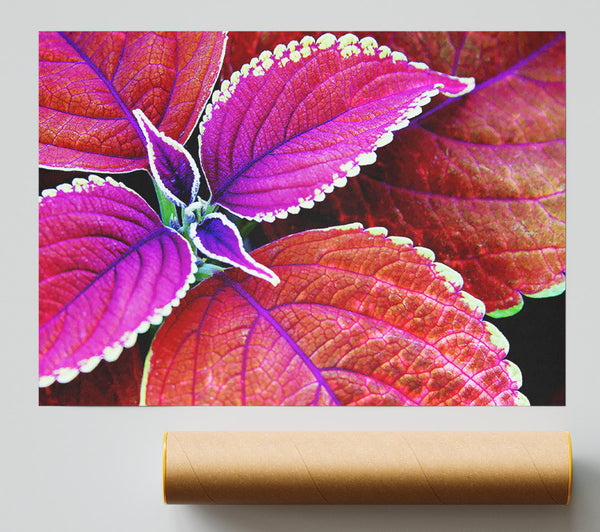 Rich Autumn Leaves Print