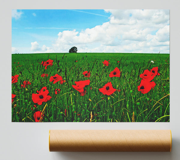 Poppy Fields On A Cloudy Day Poster