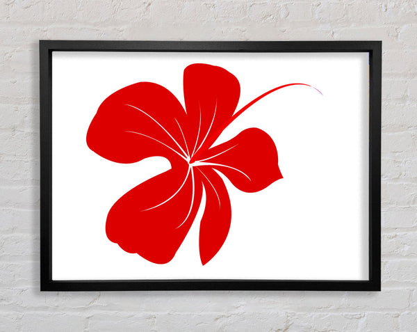 Red Bloom Framed Print