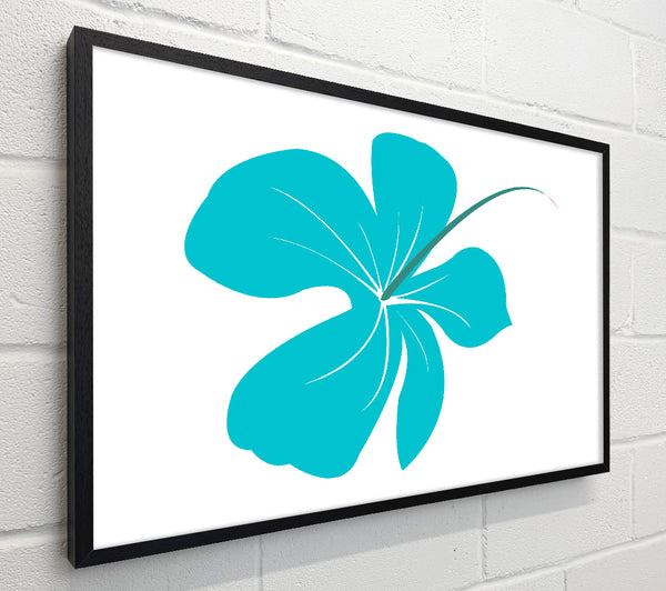 Blue Bloom