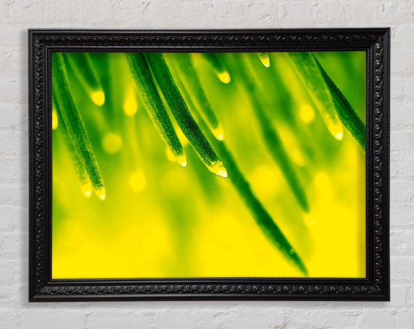 Energy Of A Plant Framed Print