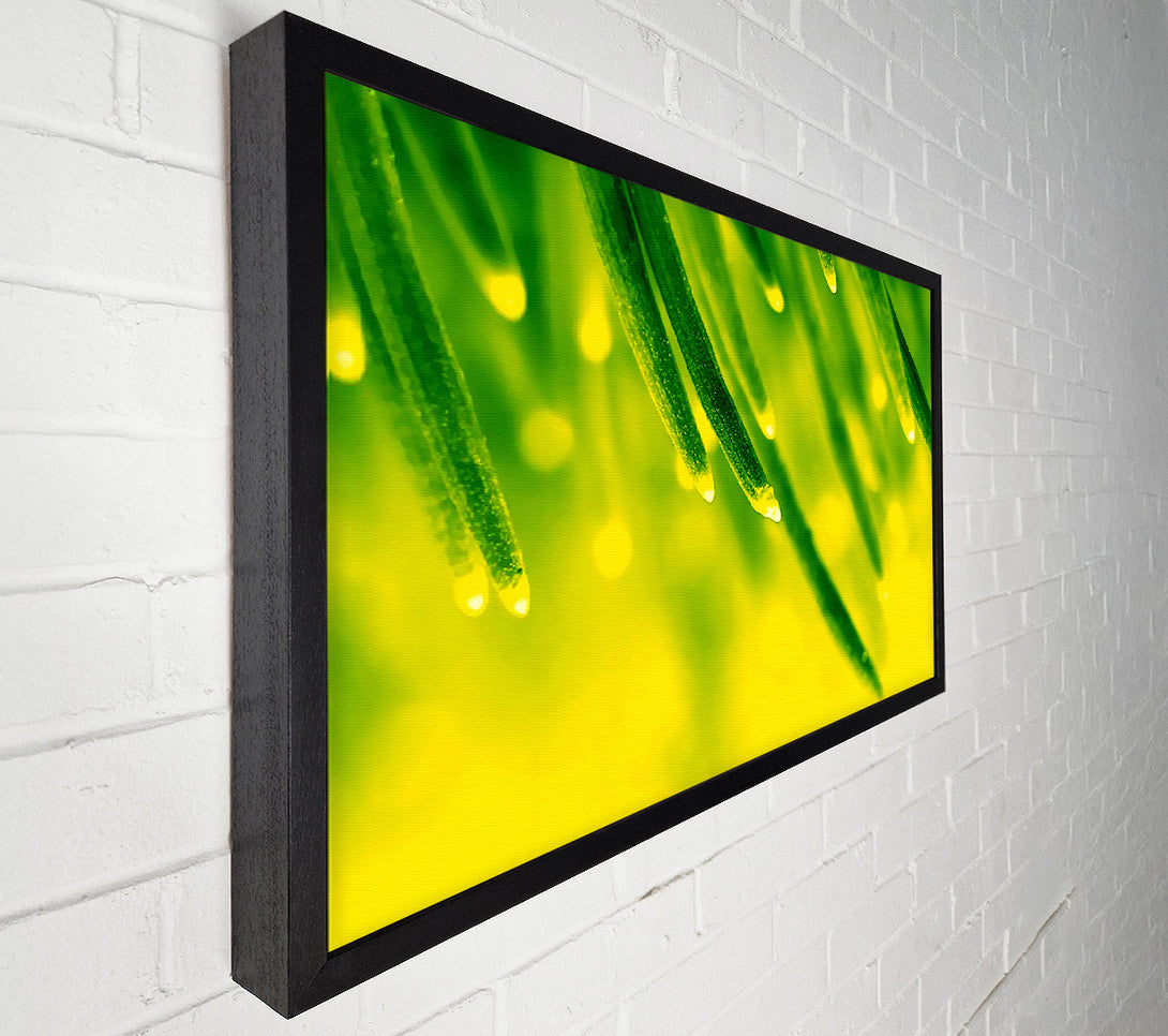  A Canvas Print of Energy Of A Plant Canvas Art