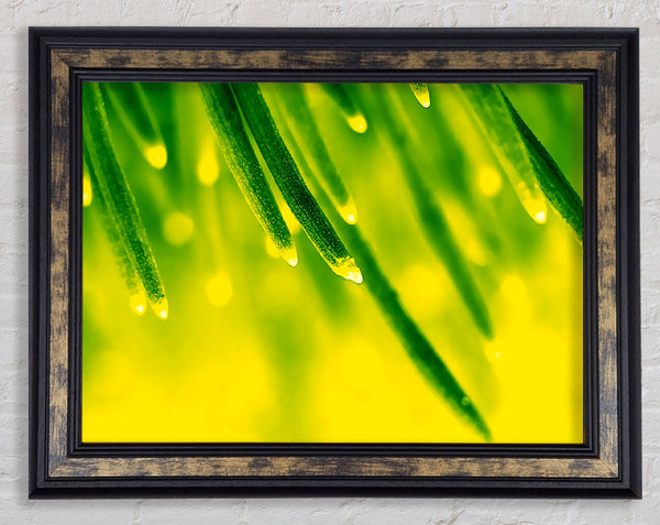 Energy Of A Plant Framed Print