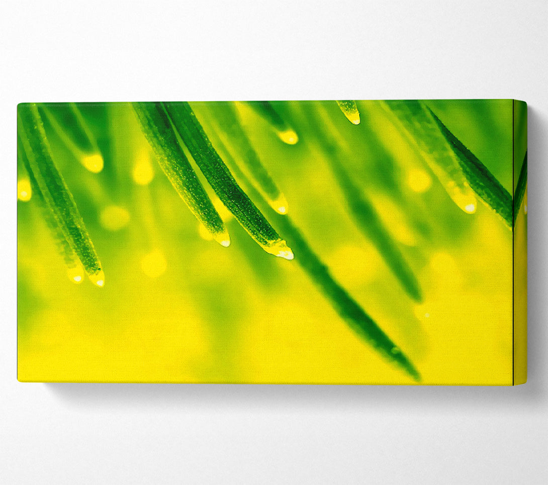  A Canvas Print of Energy Of A Plant Canvas Art