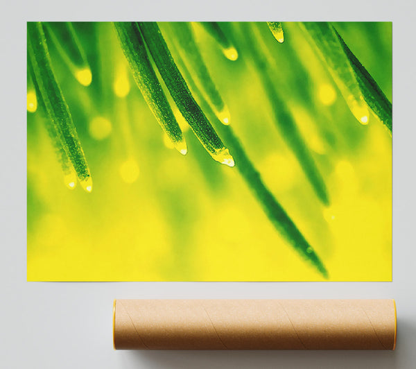 Energy Of A Plant Poster