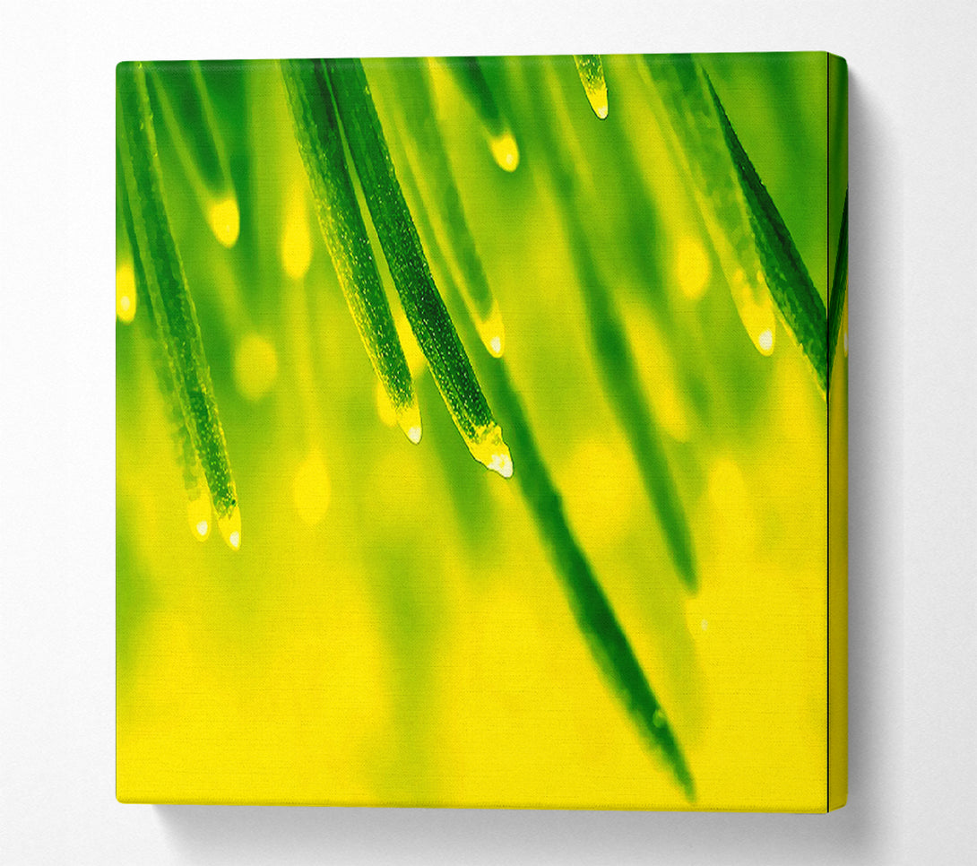  A Canvas Print of Energy Of A Plant Canvas Art