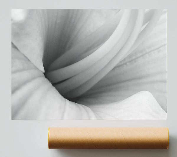 Soft Centre B N W Print