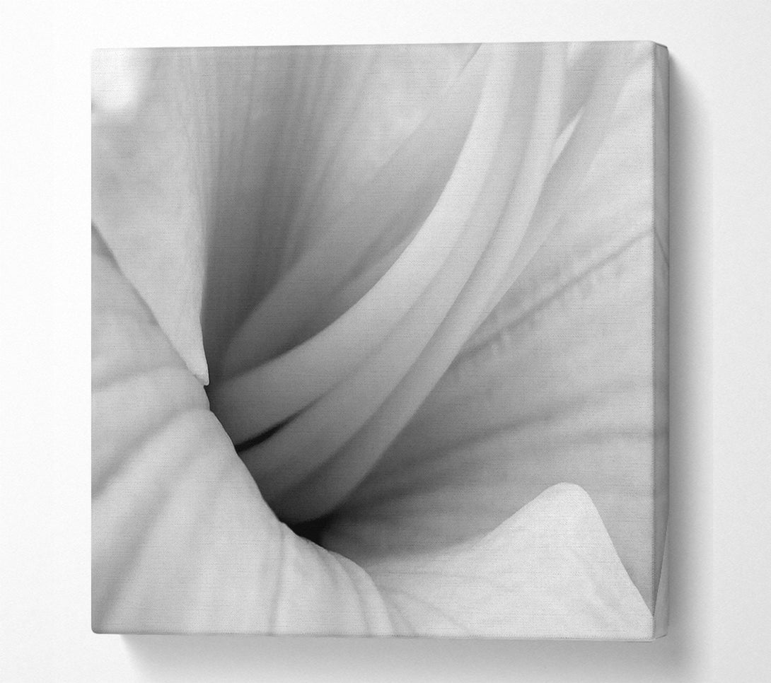  A Canvas Print of Soft Centre B n W Canvas Art