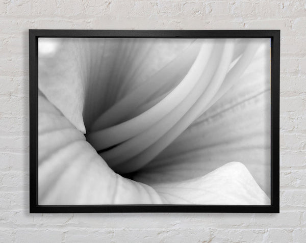 Soft Centre B n W Framed Print