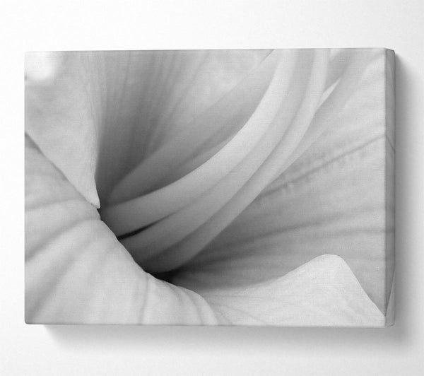  A Canvas Print of Soft Centre B n W Canvas Art