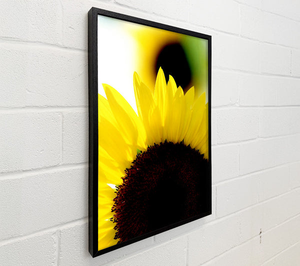 Vibrant Yellow Sunflower