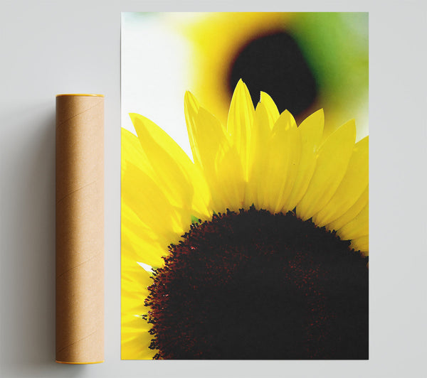 Vibrant Yellow Sunflower Print