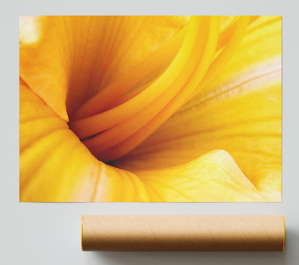Yellow Trumpet Poster