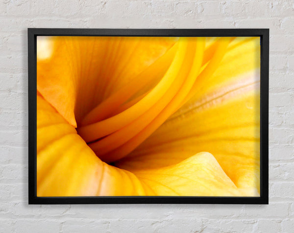 Yellow Trumpet Framed Print