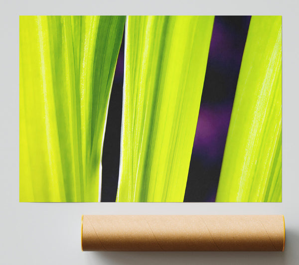 Green Leaves On Purple Giclee Print