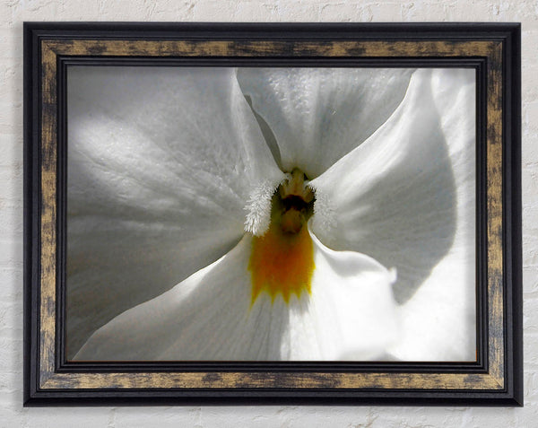 Just A Hint Of Yellow Framed Print