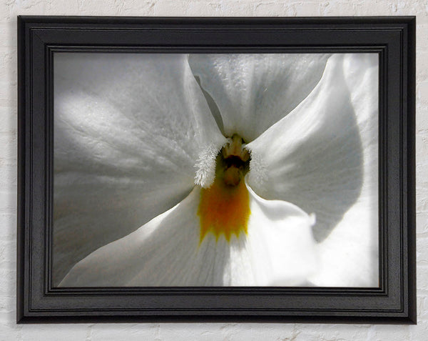 Just A Hint Of Yellow Framed Print