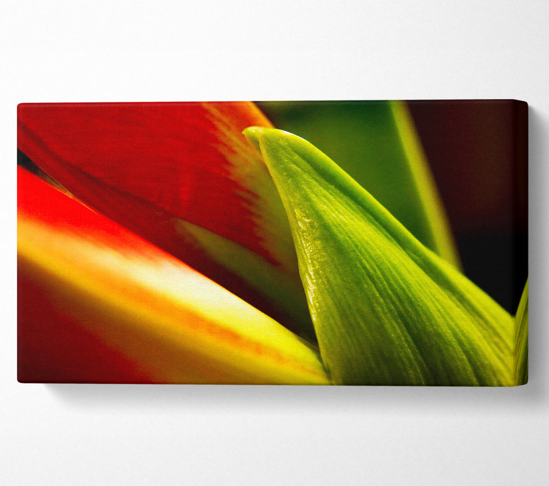  A Canvas Print of Colours Of Nature Canvas Art