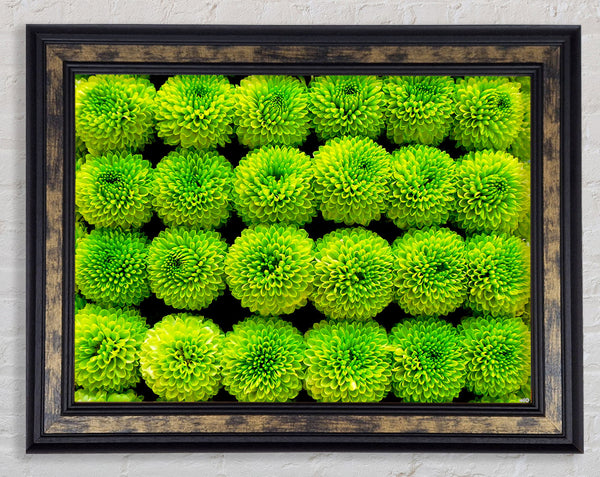 Green Parade Framed Print