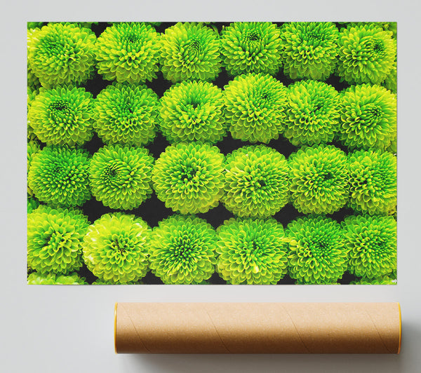 Green Parade Giclee Print