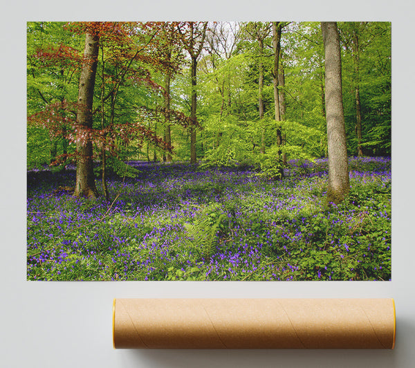 Purple Flowers In The Forest Poster