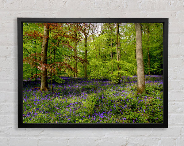 Purple Flowers In The Forest Framed Print