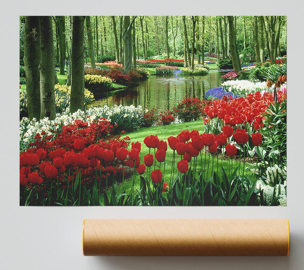 Tulip River Print