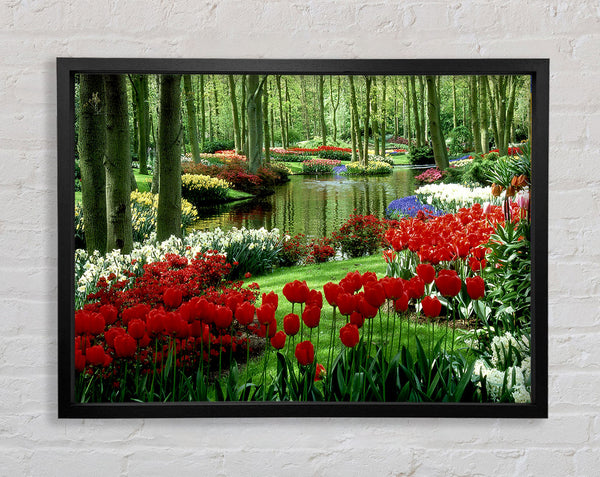 Tulip River Framed Print