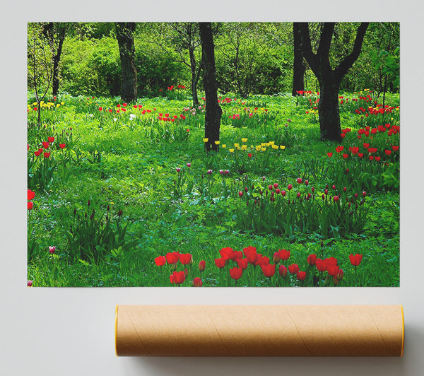 Tulip Woodland Print