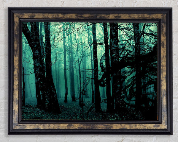 Emerald Whisper Framed Print
