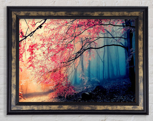 Jungle Forest In Japan Framed Print