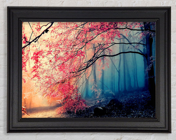Jungle Forest In Japan Framed Print