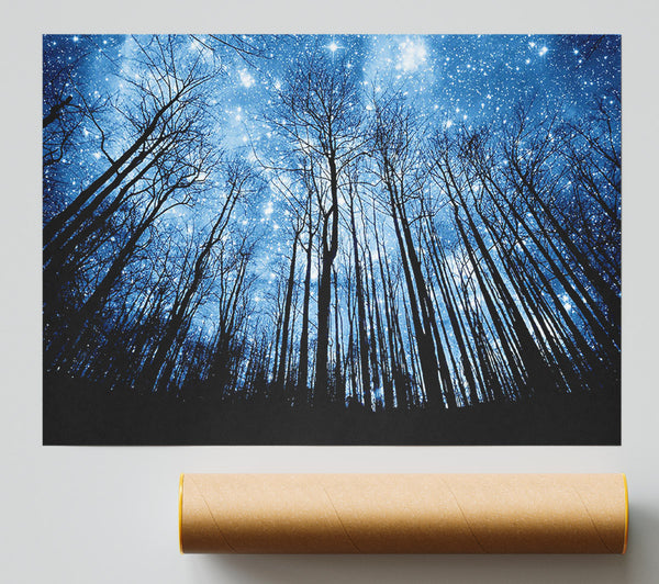 Starry Night In The Forest Poster